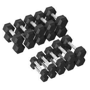 Platinum Hex Rubber Dumbbell Set, 1 - 10 kg