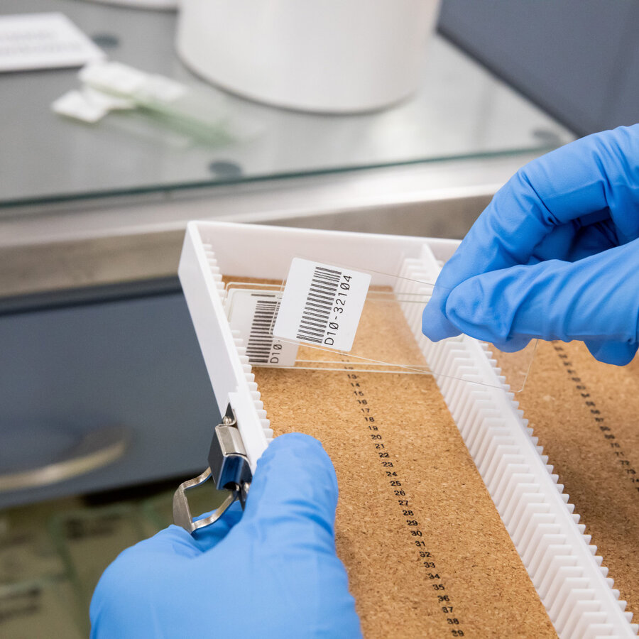 B-488 - Matte und weiße Polyester-Etiketten  - M410-2