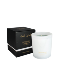 soy candle 150 gr. - World Wonders - Paradise Bay