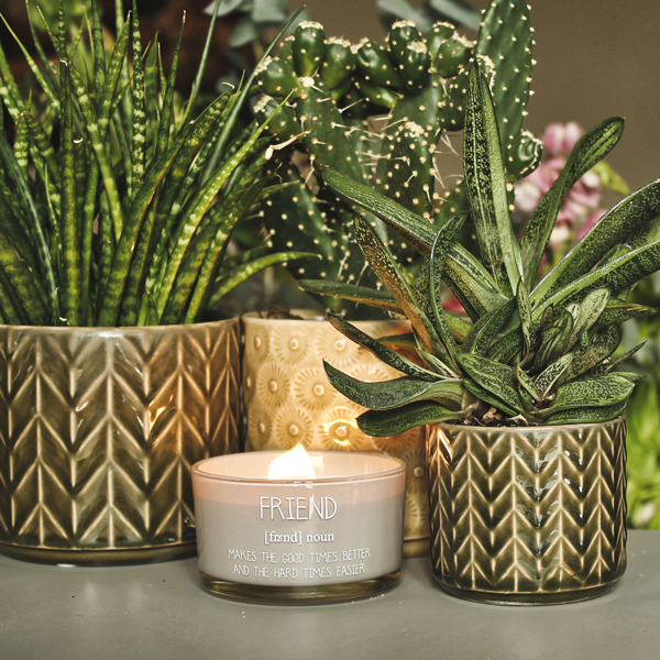 My Flame Lifestyle Soy Candle - Friends - Scent: Fig's Delight