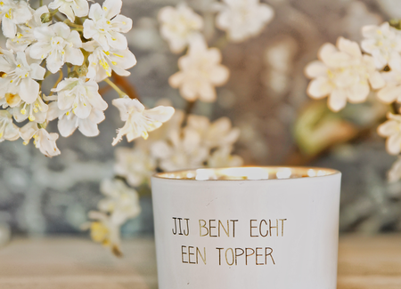 Succeeded/ Graduated