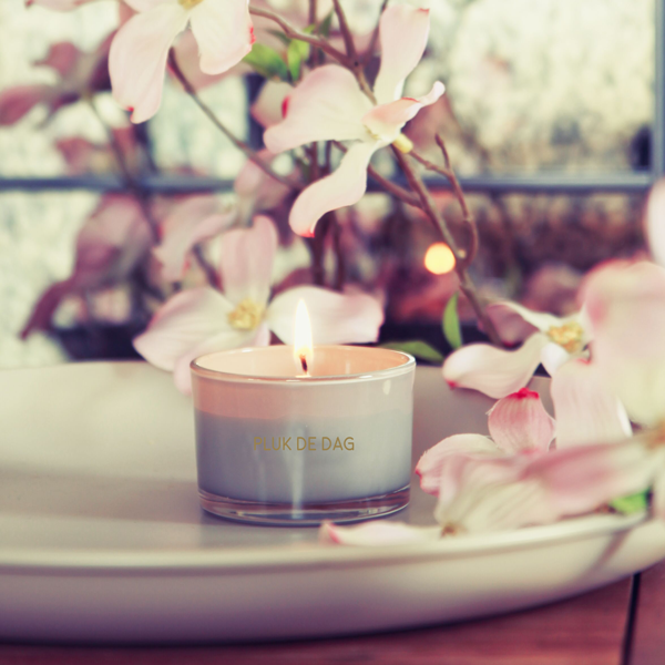 My Flame Lifestyle Sojakaars - Pluk de dag - Fig's Delight