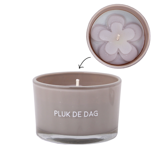 Sojakaars - Pluk de dag