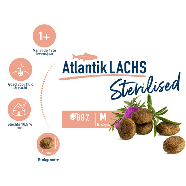 Happy Cat Happy Cat – Sterilised Droogvoer Kat – 1.3kg – Kattenbrokken – Dieet – Zalm – Adult