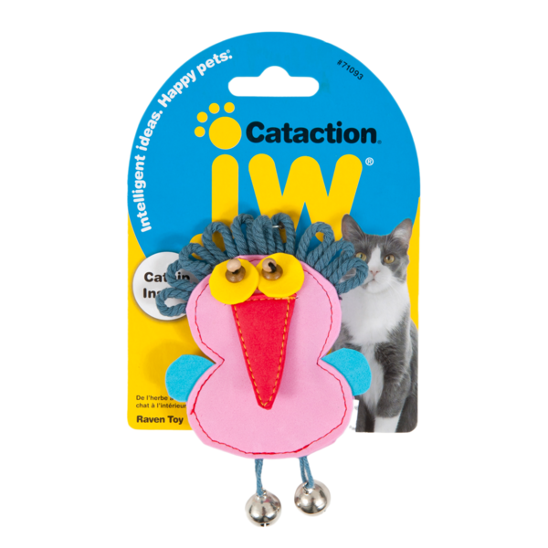 JW JW Cataction Raven Toy