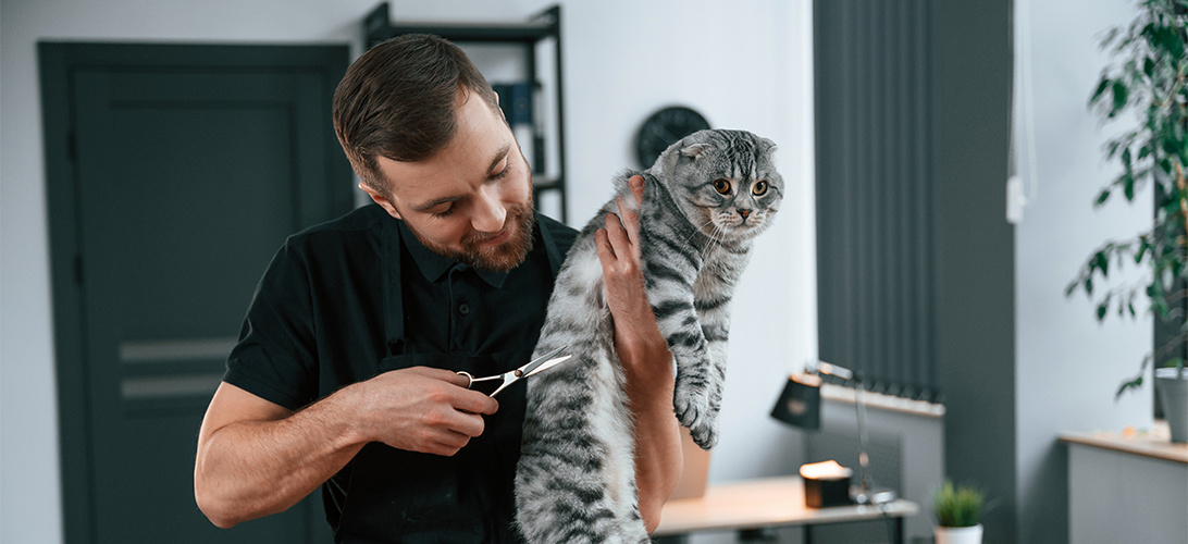 Met je katten naar de trimsalon: wanneer doe je dit?