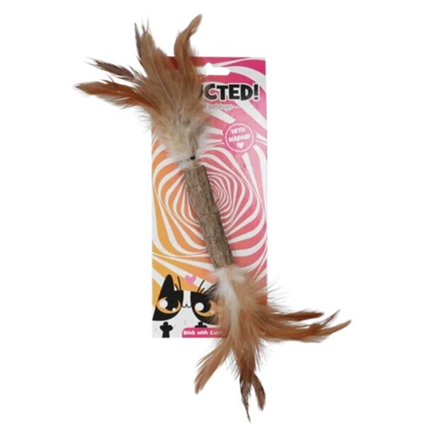 Addicted Stick with caterpillar and feathers