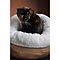 AFP AFP - Kattenmand -  Lambswool Donut Bed - Grijs