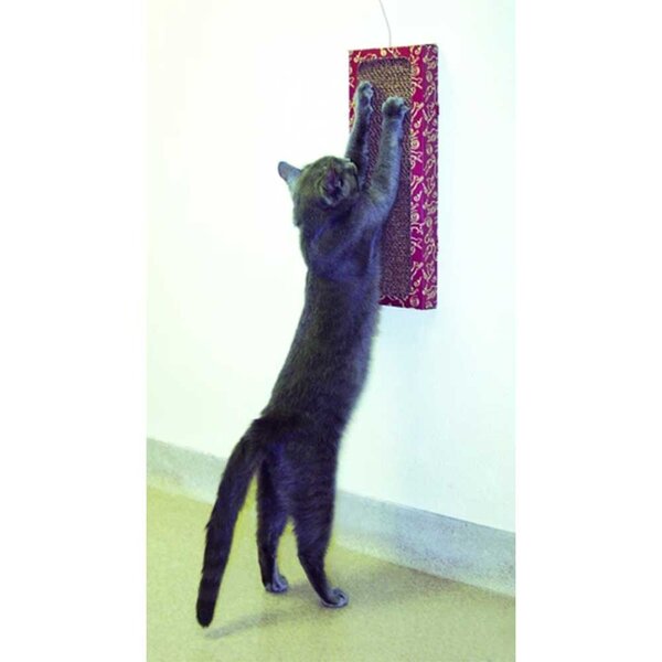 Cat Dancer Cat Dancer - Krabpaal voor katten - Wall Scratcher - 46 x 16 x 4,5 cm