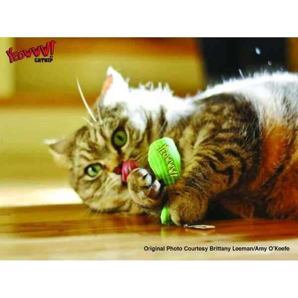 Yeowww! Tin of Stinkies Sardientjes Gevuld met Catnip 3 Stuks