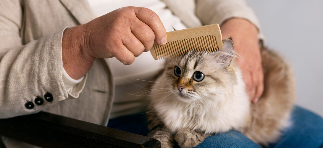 Wanneer moet je jouw kat laten trimmen?