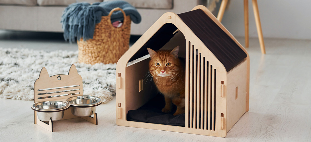 Je kat laten wennen aan een nieuw huis