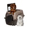 Petmate  2 Deurs Kennel Small Bruin