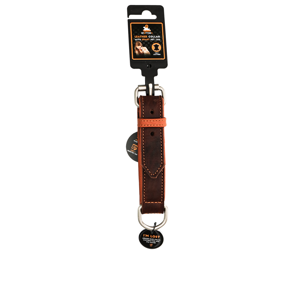 Hoogwaardig leren halsband Earth (Bruin) - William Walker