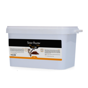 Knock Off Stay Away Kat Tuin