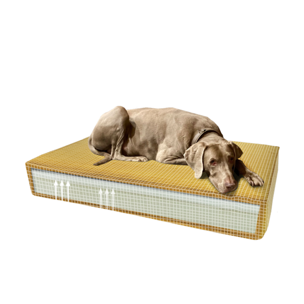 Madison Madison Orthopedisch kussen Velvet geel S