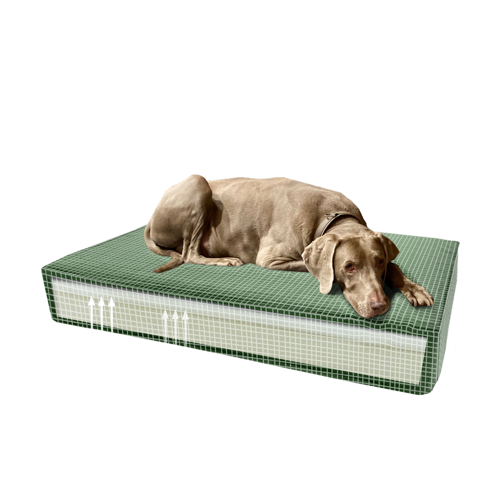 PawHut Canapé Chien Chat sur Pied Design