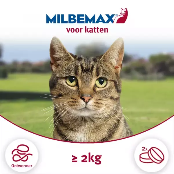 Milbemax Milbemax - Filmomhulde ontwormingstabletten Kat groot - 4st