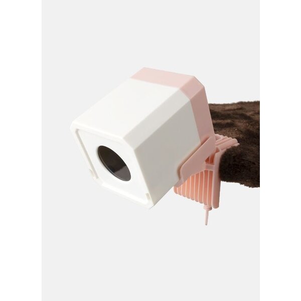 Pawise Pawise - Speelgoed Kat - Interactief - Automatische laser