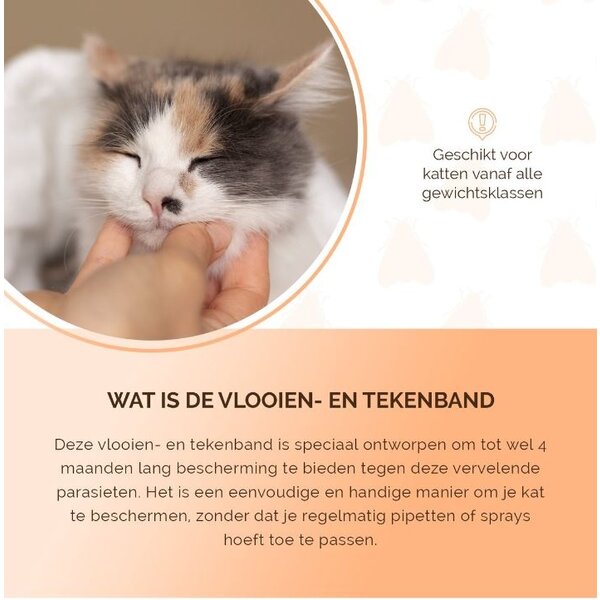 Knock Off Knock Off- Kattenhalsbanden - Vlooien-Tekenband - 35 cm - 100% gifvrij