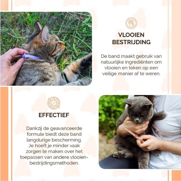 Knock Off Knock Off- Kattenhalsbanden - Vlooien-Tekenband - 35 cm - 100% gifvrij