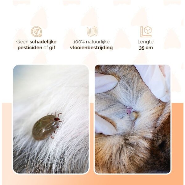 Knock Off Knock Off- Kattenhalsbanden - Vlooien-Tekenband - 35 cm - 100% gifvrij