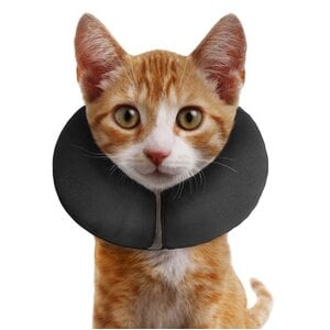 Zenpet ProCollar - kattenkraag - bescherming - maat XS - zwart