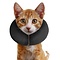 Zenpet Zenpet ProCollar - kattenkraag - beschermingskraag - maat S - zwart
