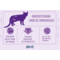 Happy Cat Happy Cat – Minkas Urinary Droogvoer Kat – 500g – Kattenbrokken – Adult