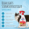 SuperCleaners SuperCleaners - Kattenpis Geur Verwijderen - Stank vernietiger - 500ML