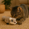 Robocat Robocat - Speelgoed kat - Interactief - Eekhoorn