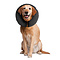 Zenpet ProCollar XL