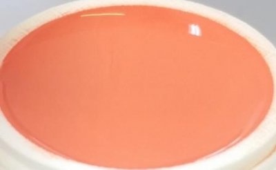 038 | Colorgel by Enzo 5ml - Extrem Salmon-1
