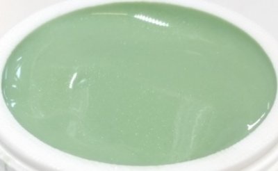 031 | Colorgel by Enzo 5ml - Pistache-1