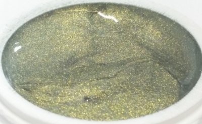 024 | Colorgel by Enzo 5ml - Metallic Gold Grass-1