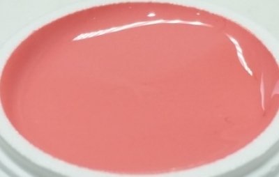 307 | Colorgel by Enzo 5ml - Light Coral-1