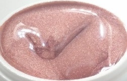 172 | Colorgel by Enzo 5ml - Oldie Rose-1