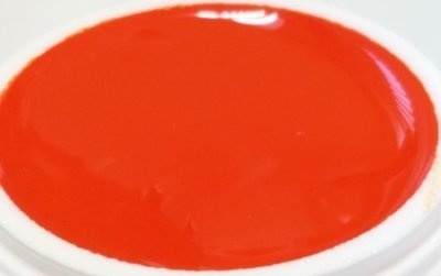 152 | Colorgel by Enzo 5ml - Neon Manderine-1