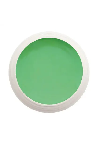 483 | Farbgel by Enzo 5ml - Minty Mood