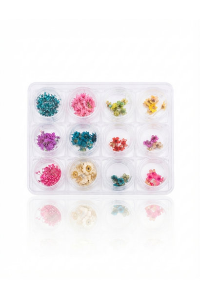 Trockenblumen-set (12-pack)