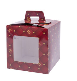 Window Cube - Sint - ST1