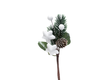 Flowers & deco