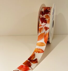 Ribbon #4