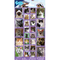 stickerset Cats junior paars 26 stickers