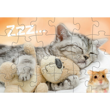 legpuzzel Babydieren junior 24/24 stukjes