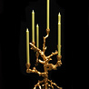 Pols Potten Kandelaar Apple Tree Gold Aluminium 53cm Pols Potten Kandelaar Apple Tree Gold Aluminium 53cm