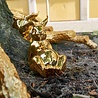 Pols Potten Spaarpot Bunny Belly shiny gold H22cm Pols Potten Spaarpot Bunny Belly shiny gold H22cm