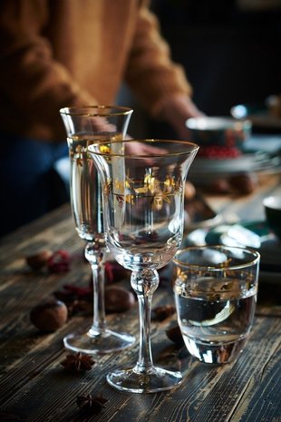 Ruïneren vertalen Koninklijke familie Pip Champagne Glass Winter Wonderland 220ml gold - Melting Pot Amsterdam