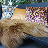 Melting Pot - Schapenvacht Ginger Brisa Langharig 55x95 Melting Pot - Schapenvacht Ginger Brisa Langharig 55x95