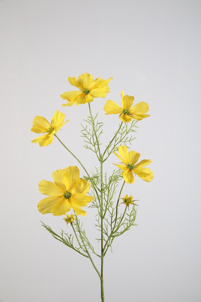 Melting Pot - Kunstbloem Cosmos Geel 5 Bloemen 77cm Melting Pot - Kunstbloem Cosmos Geel 5 Bloemen 77cm